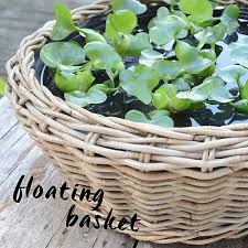 DRY POT květináče (pro hydroponii)