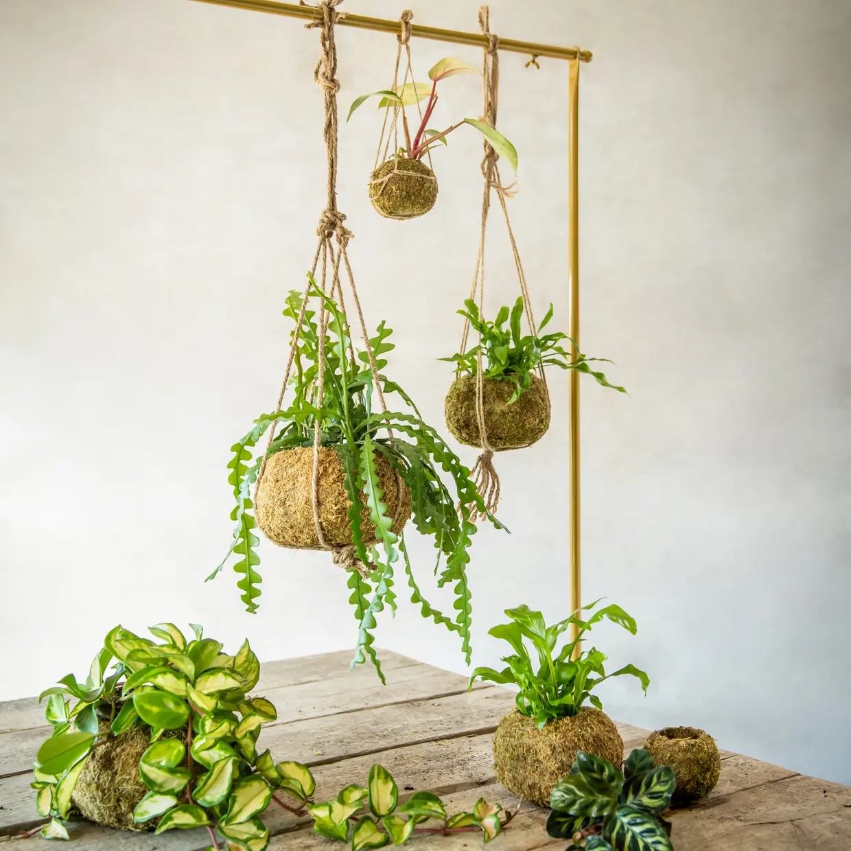 KOKEDAMA květináče