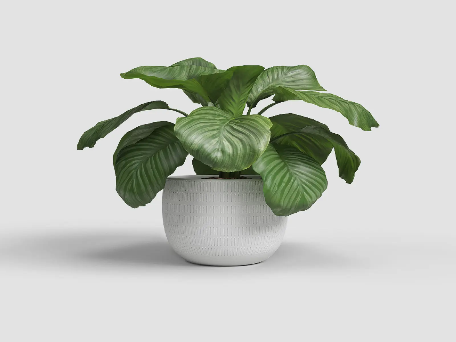 Květináč AURA, 20cm, keramika, bílá|WHITE|Artevasi