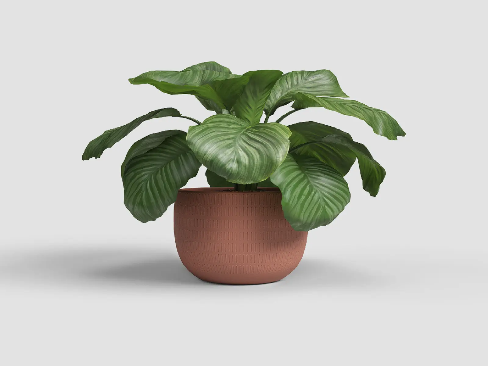 Květináč AURA, 29cm, keramika, hnědá|TERRACOTTA|Artevasi