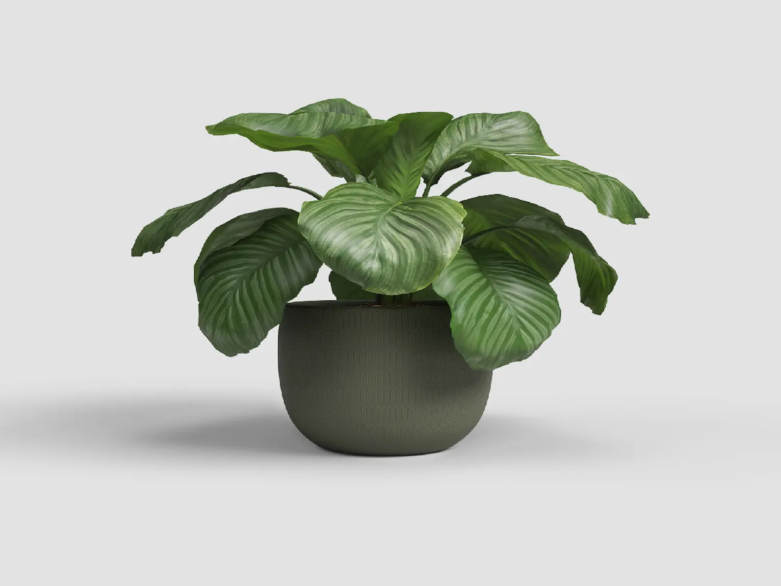 Květináč AURA, 16cm, keramika, zelená|OLIVE GREEN|Artevasi