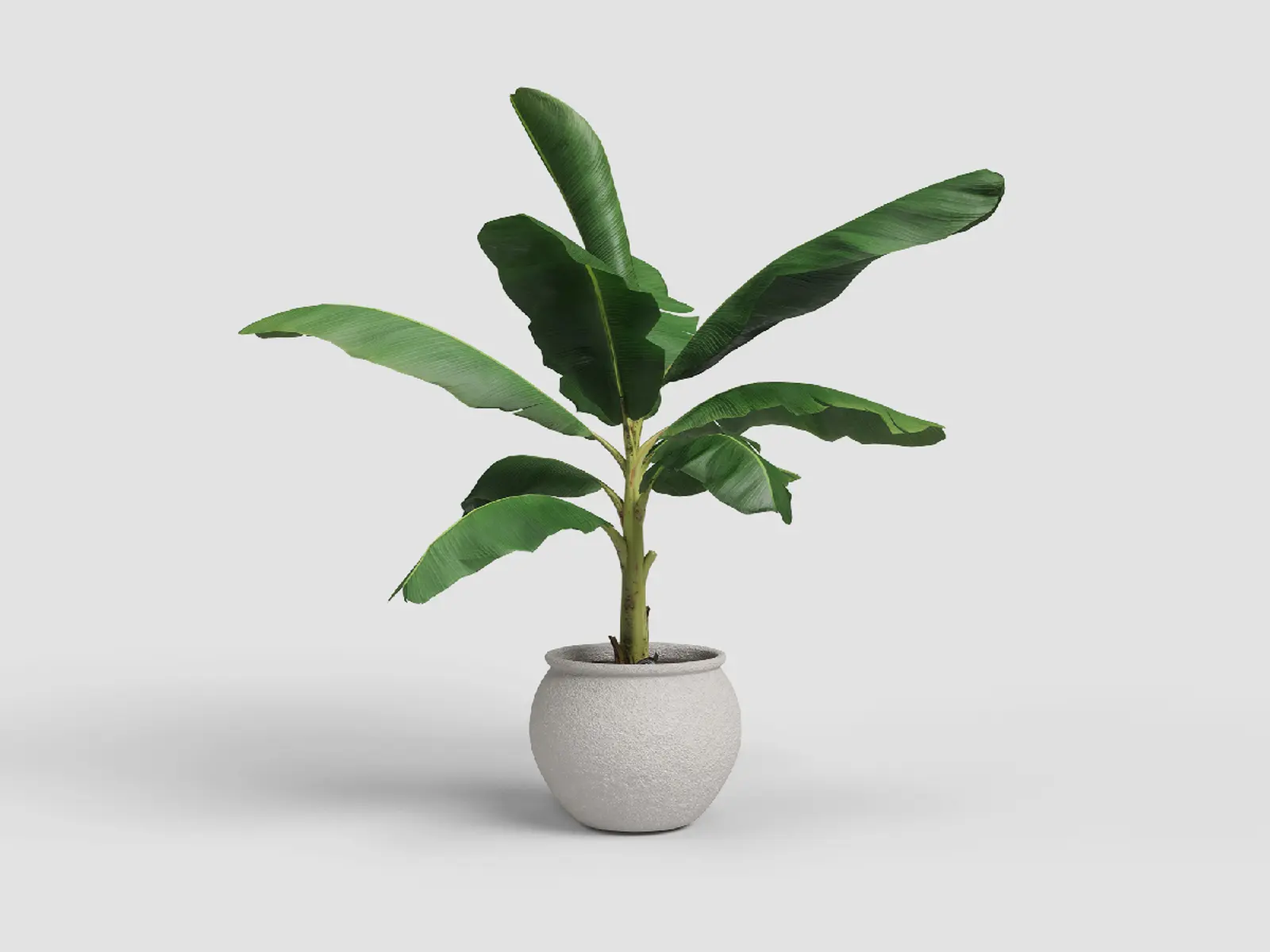 Květináč ARTEMIS, 29cm, keramika, bílá|WHITE|Artevasi