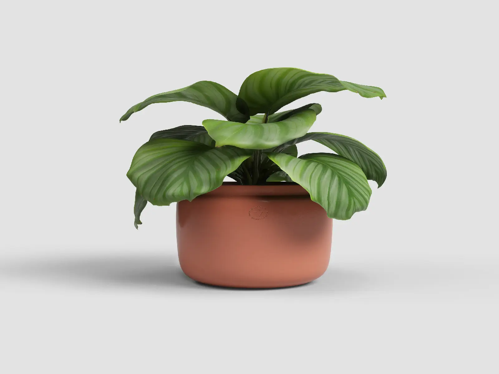 Květináč ASTREA, 20cm, keramika, hnědá|TERRACOTTA|Artevasi