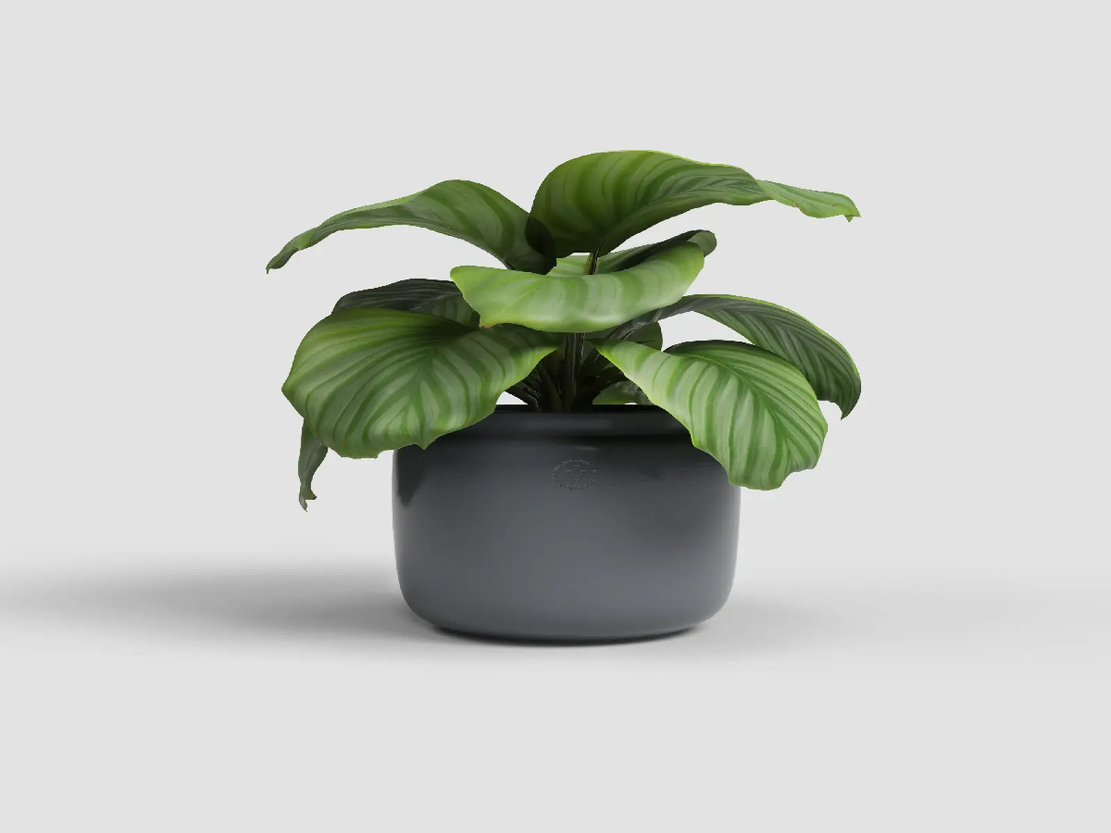 Květináč ASTREA, 32cm, keramika, tm.šedá|ANTHRACITE|Artevasi