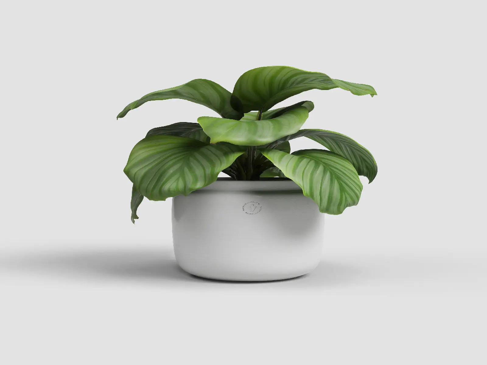 Květináč ASTREA, 26cm, keramika, bílá|WHITE|Artevasi