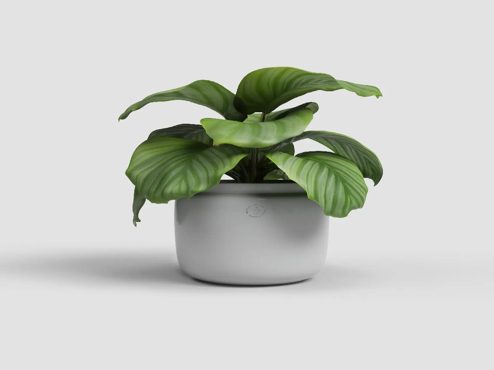 Květináč ASTREA, 26cm, keramika, sv.šedá|LIGHT GREY|Artevasi