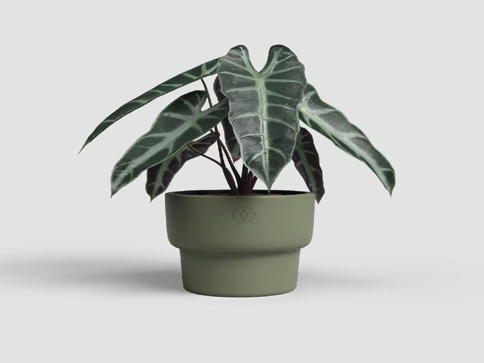 Květináč ECHO, 17cm, keramika, zelená|OLIVE GREEN|Artevasi