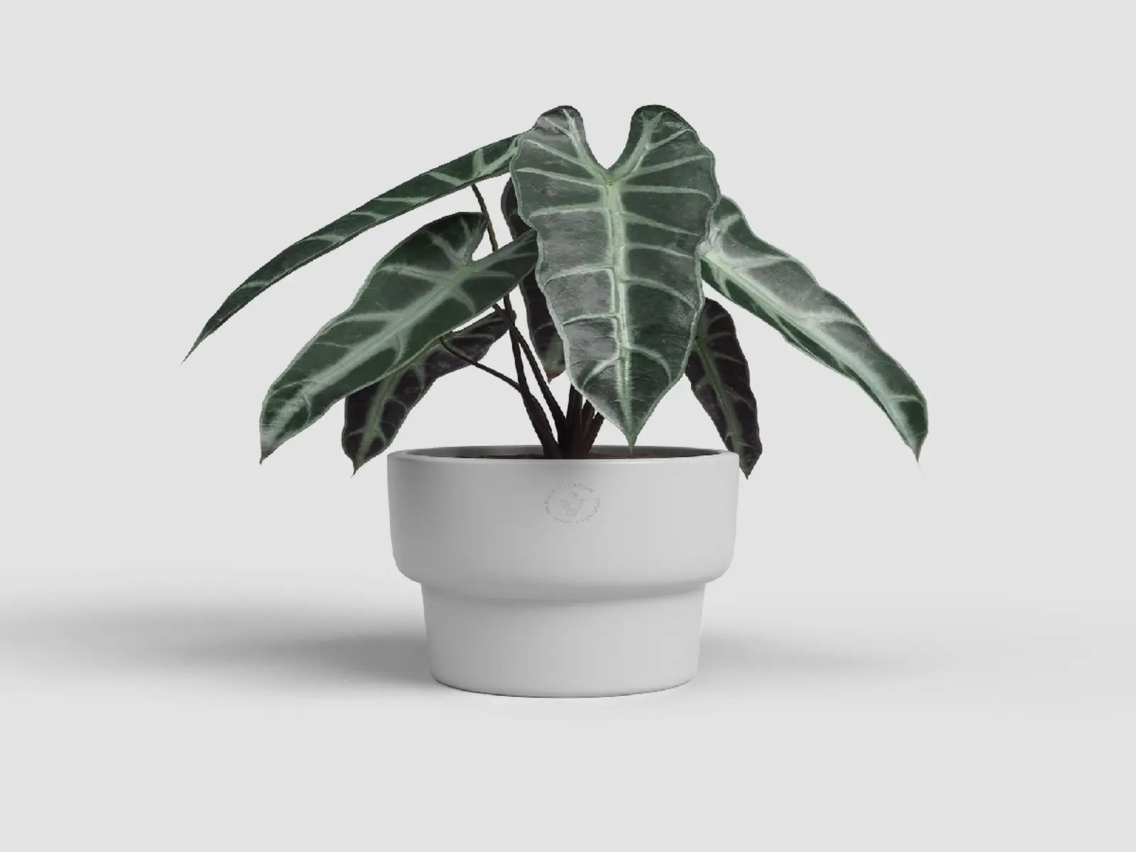 Květináč ECHO, 20cm, keramika, sv.šedá|LIGHT GREY|Artevasi