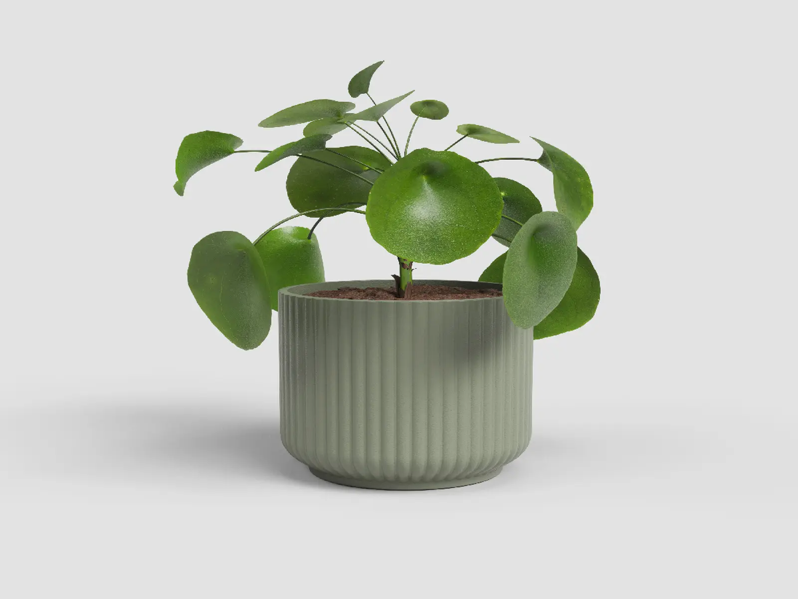Květináč LUNA, 14cm, keramika, zelená|GREEN|Artevasi