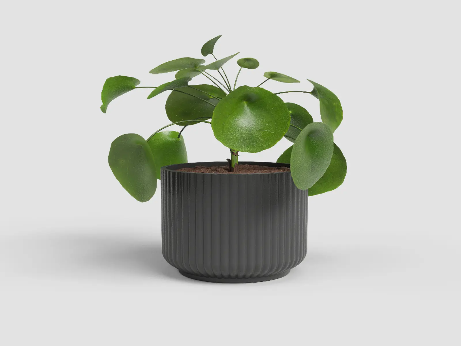 Květináč LUNA, 21cm, keramika, tm.šedá|ANTHRACITE|Artevasi