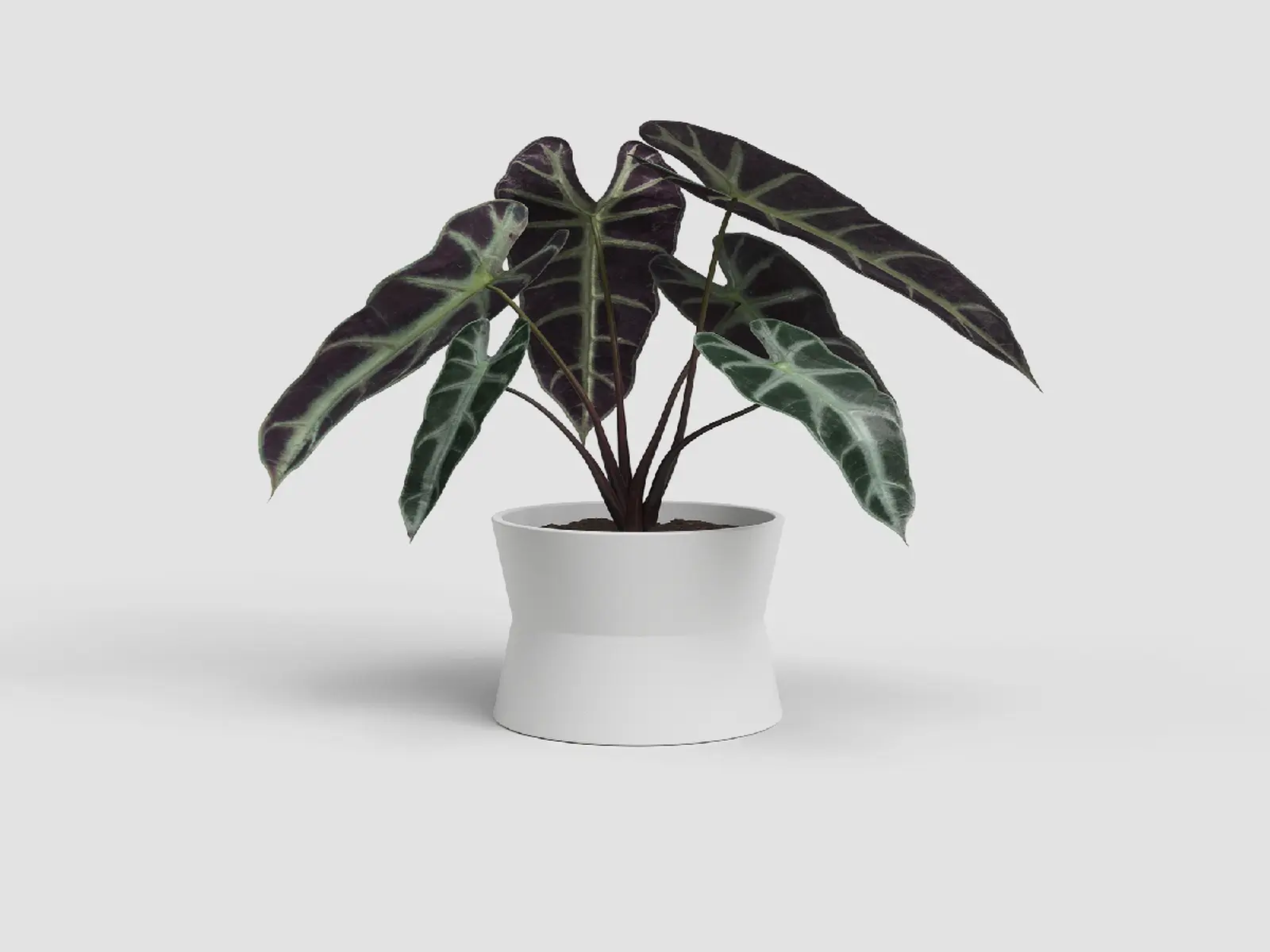 Květináč DIANA, 20cm, keramika, bílá|WHITE|Artevasi