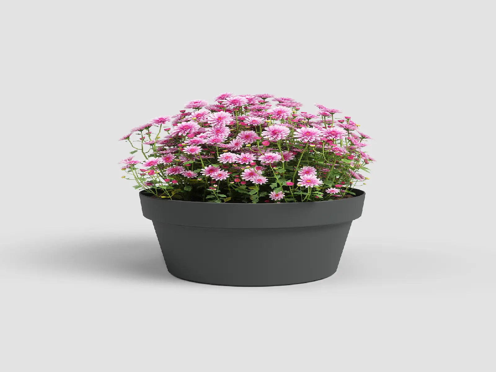 Mísa|květináč CAPRI, 30cm, plast, tm.šedá|ANTHRACITE|Artevasi