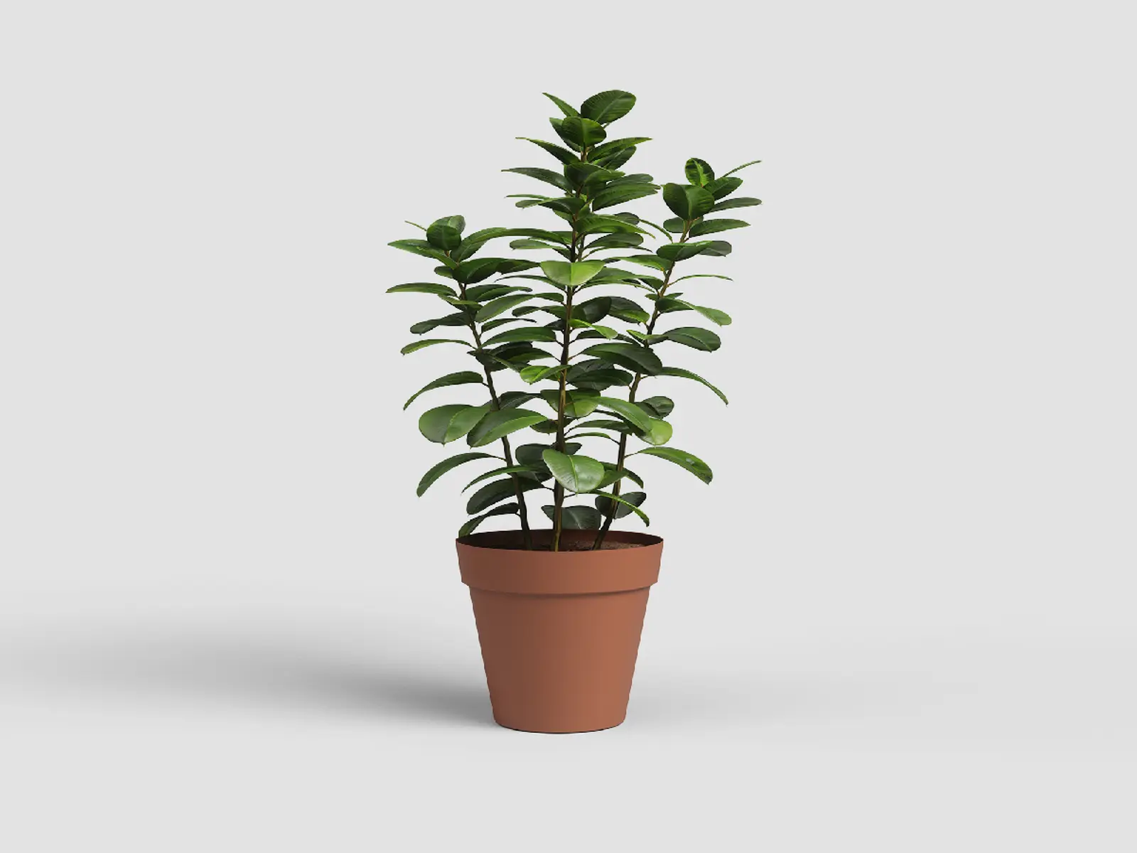 Květináč CAPRI, 46cm, plast, hnědá|TERRACOTTA|Artevasi