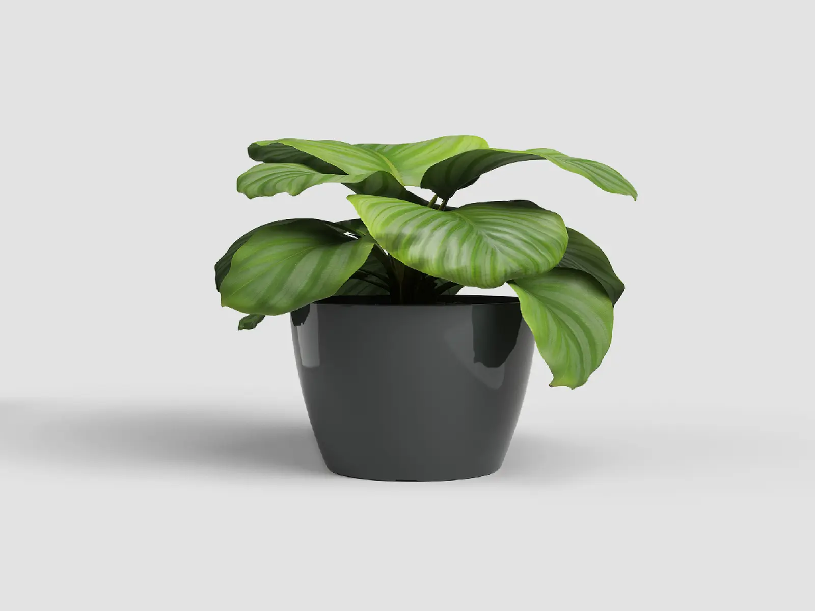 Květináč SAN REMO, 14cm, plast, tm.šedá|ANTHRACITE|Artevasi