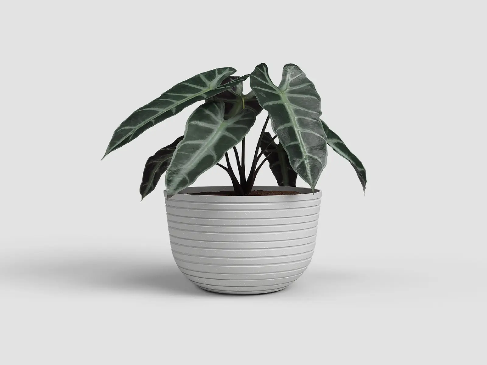 Květináč HAVANA, 20cm, plast, šedá|LIMESTONE GREY|Artevasi