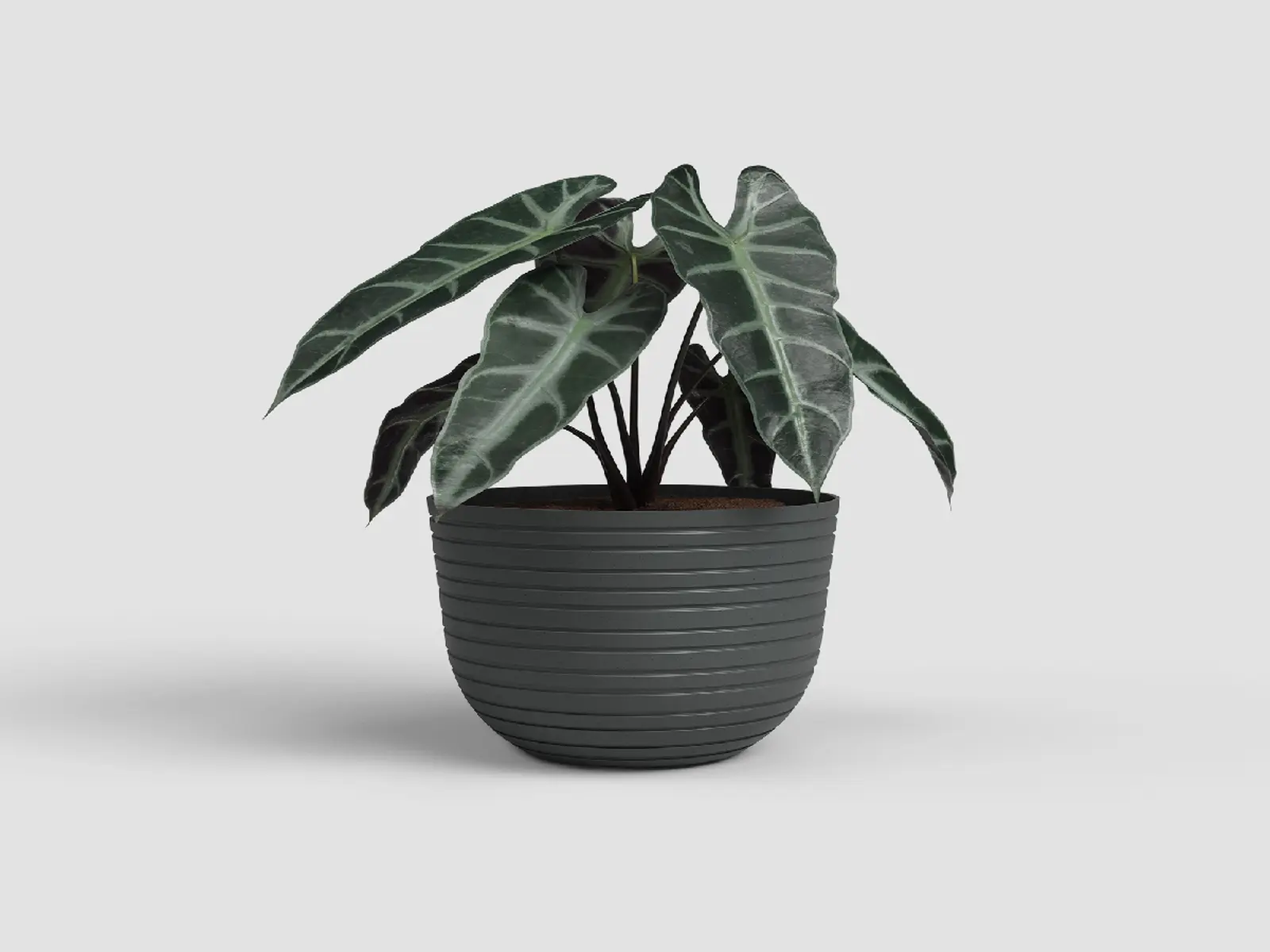 Květináč HAVANA, tvarovaný, 20cm, plast, tm.šedá|VOLCANO ANTHRACITE|Artevasi