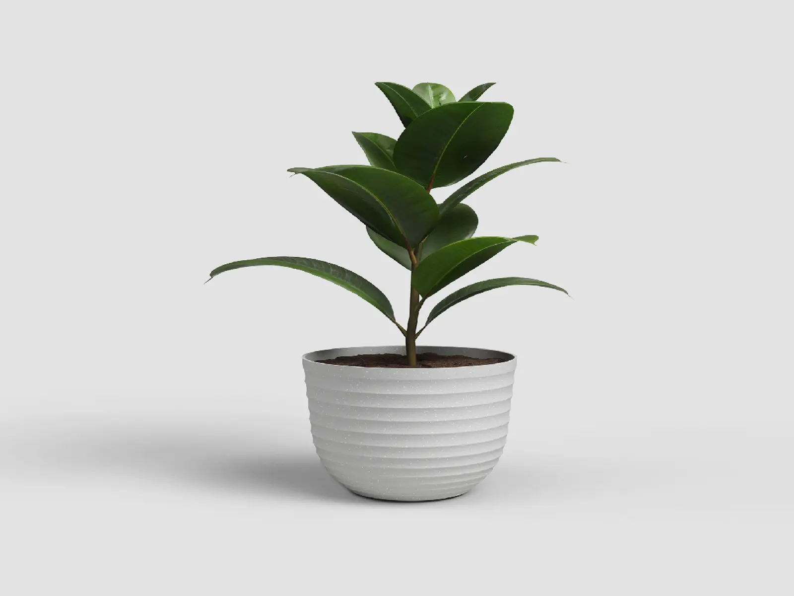 Květináč HAVANA, 30cm, plast, šedá|LIMESTONE GREY|Artevasi