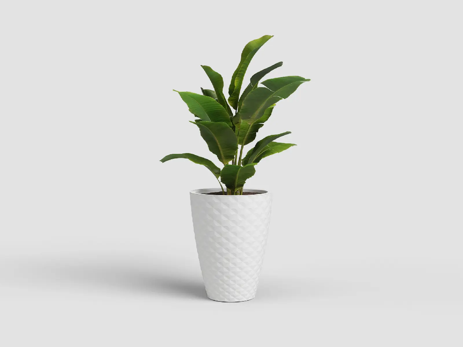 Květináč HAVANA, 70cm, plast, bílá|GRANITE WHITE|Artevasi