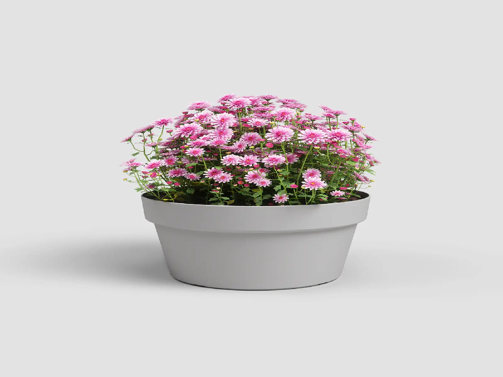 Mísa|květináč CAPRI, 25cm, plast, sv.šedá|LIGHT GREY|Artevasi