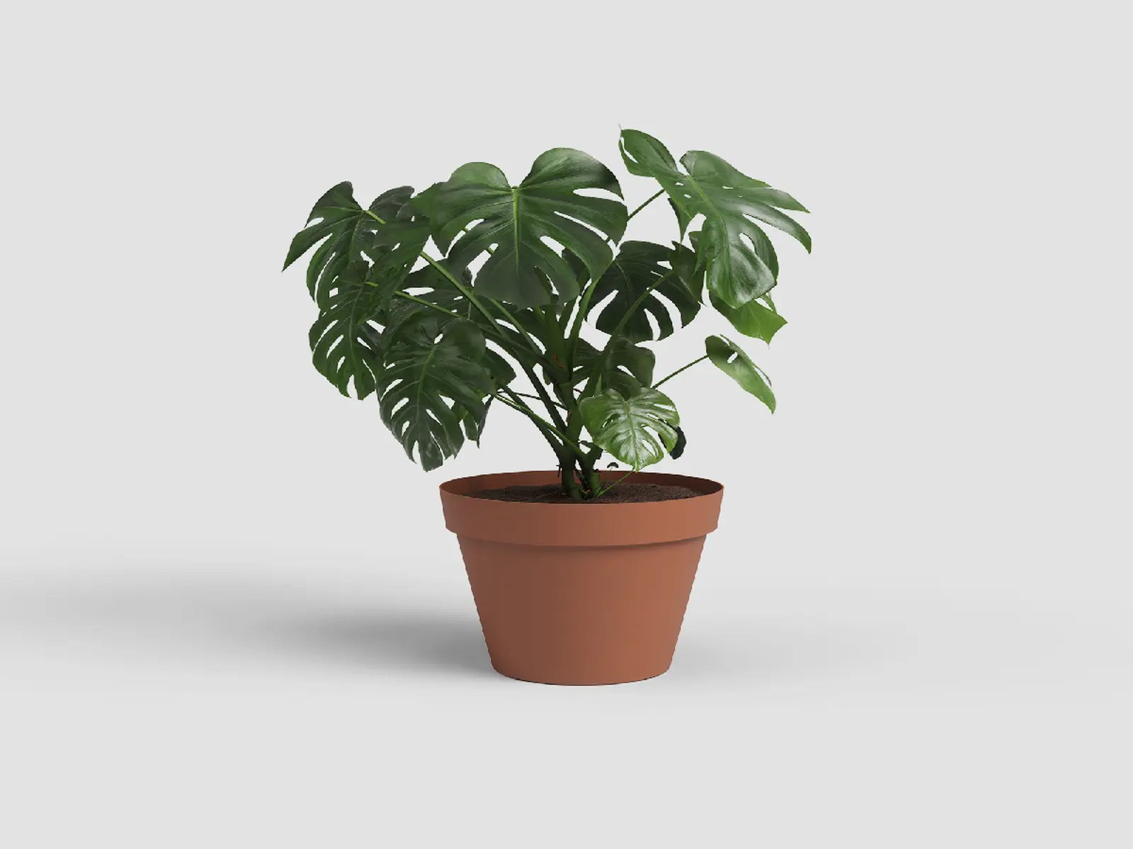 Květináč CAPRI, 50cm, plast, hnědá|TERRACOTTA|Artevasi
