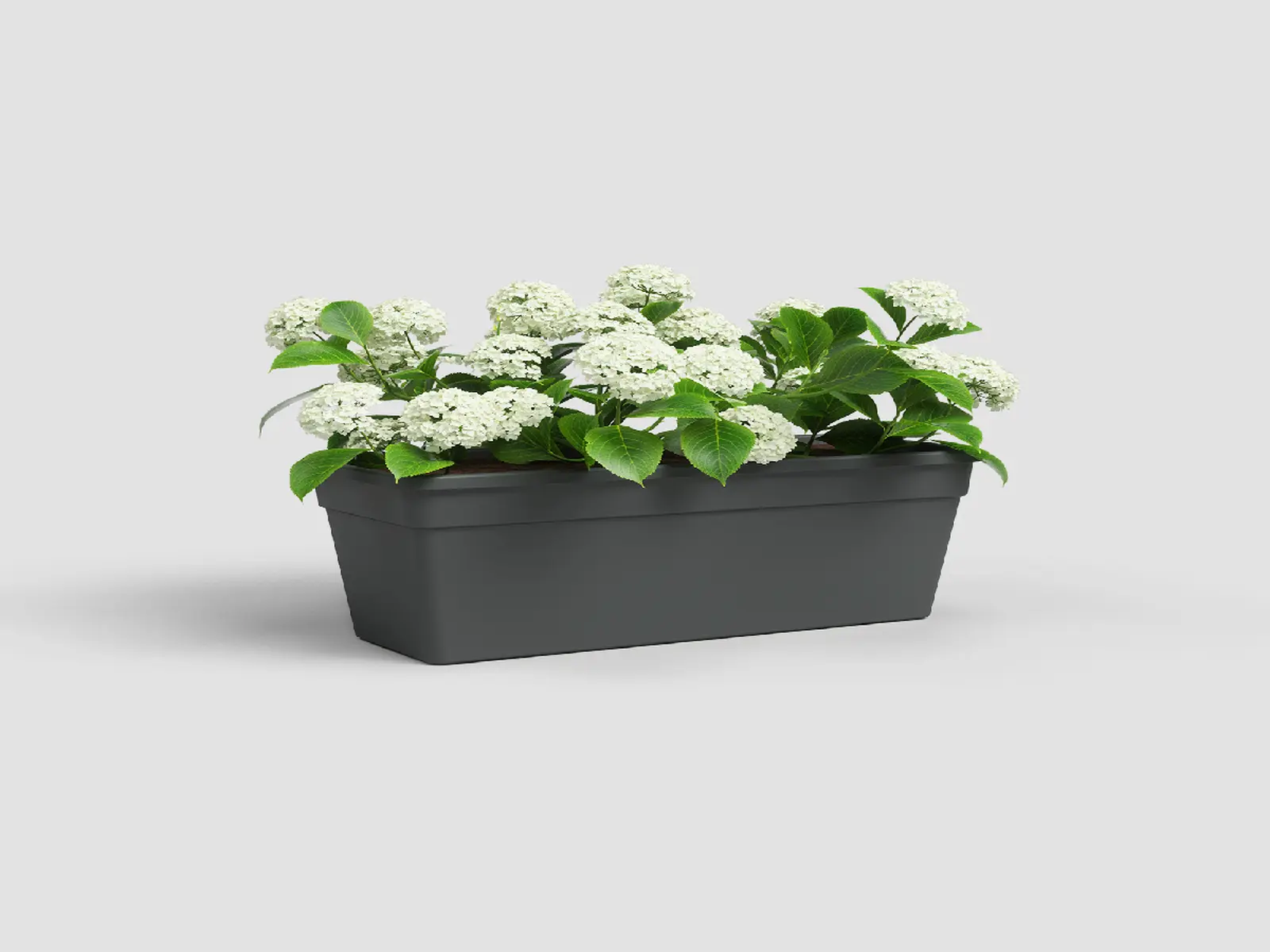 Truhlík MADAGASCAR, 60cm, plast, tm.šedá|ANTHRACITE|Artevasi