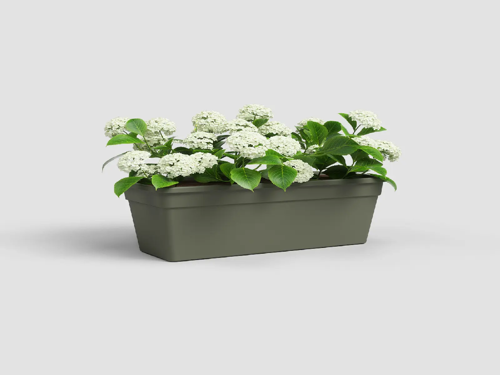 Truhlík MADAGASCAR, 60cm, plast, zelená|DRY GREEN|Artevasi