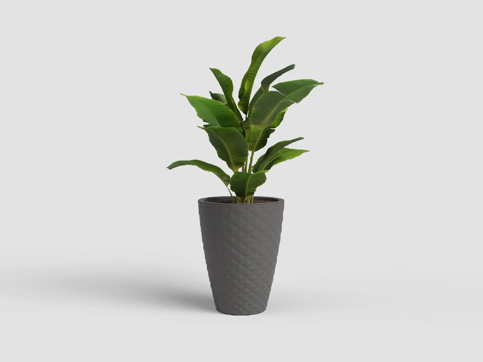 Květináč HAVANA, 70cm, plast, šedá|MUD GREY|Artevasi