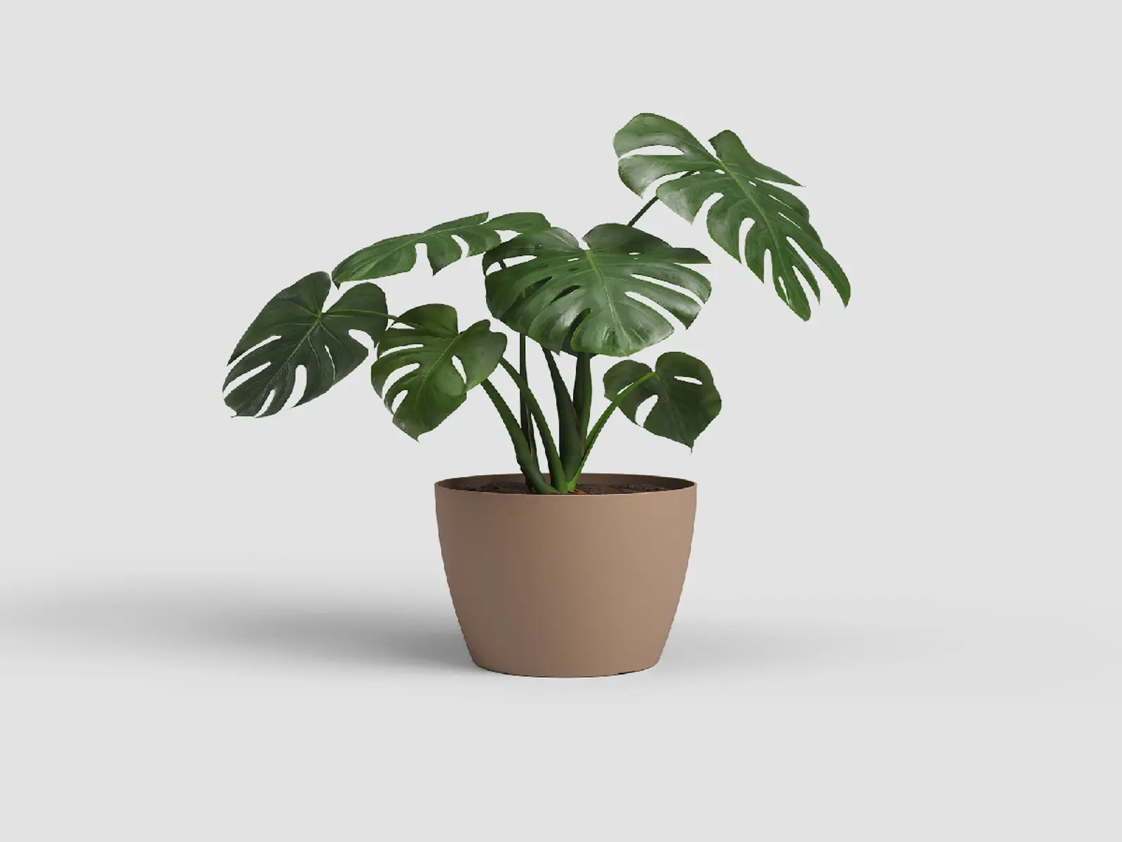 Květináč SAN REMO, 14cm, plast, tm.béžová (DOPRODEJ)|DARK BEIGE (DOPRODEJ)|Artevasi
