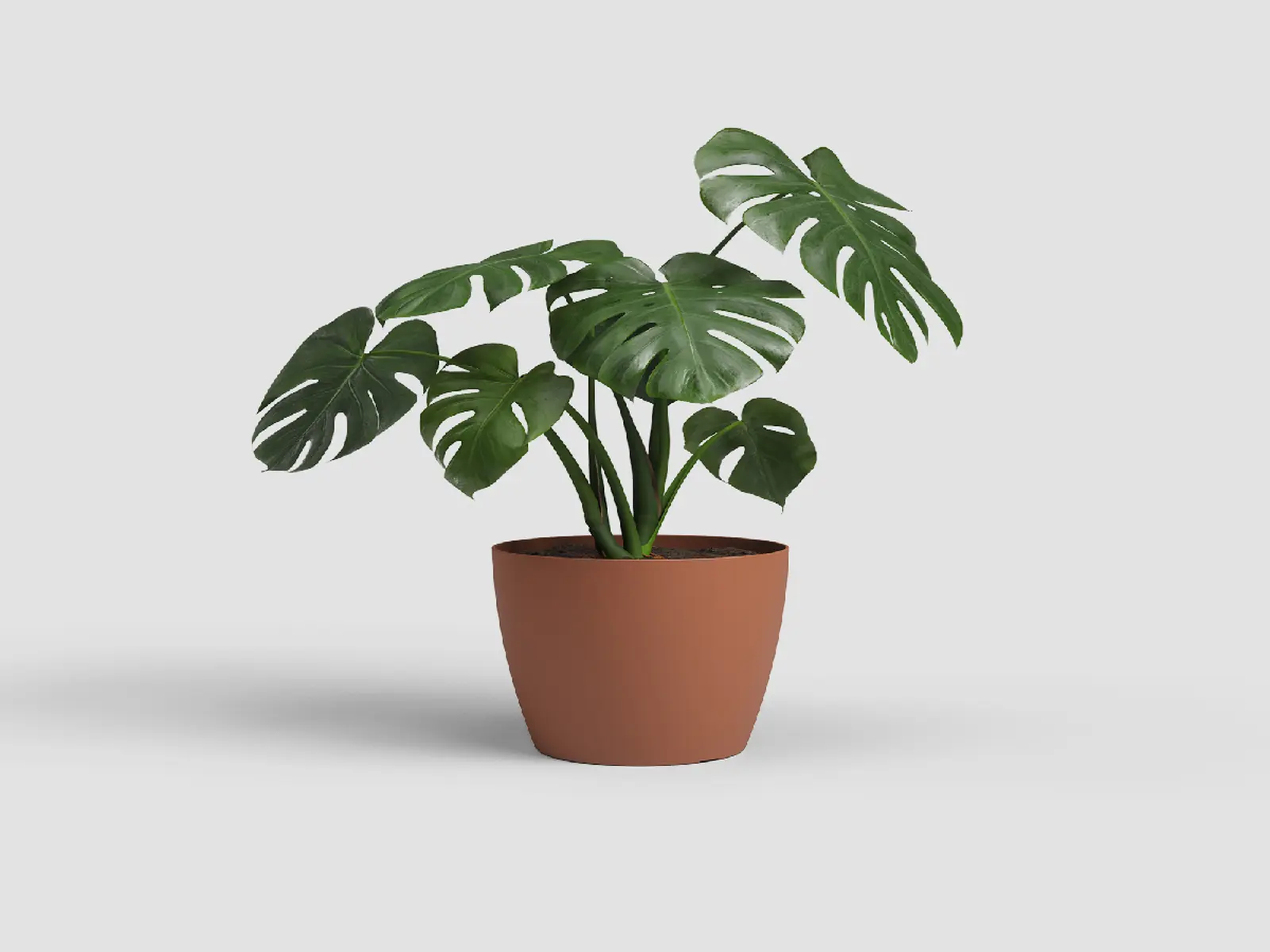 Květináč SAN REMO, 14cm, plast, hnědá (DOPRODEJ)|TERRACOTTA (DOPRODEJ)|Artevasi