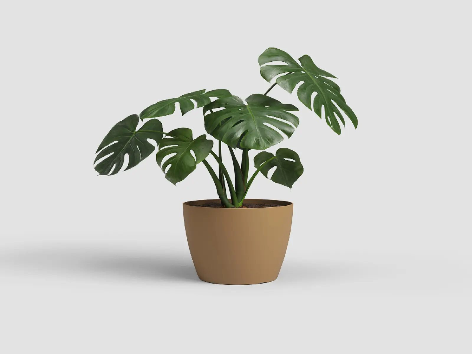 Květináč SAN REMO, 14cm, plast, okrová|MUSTARD|Artevasi