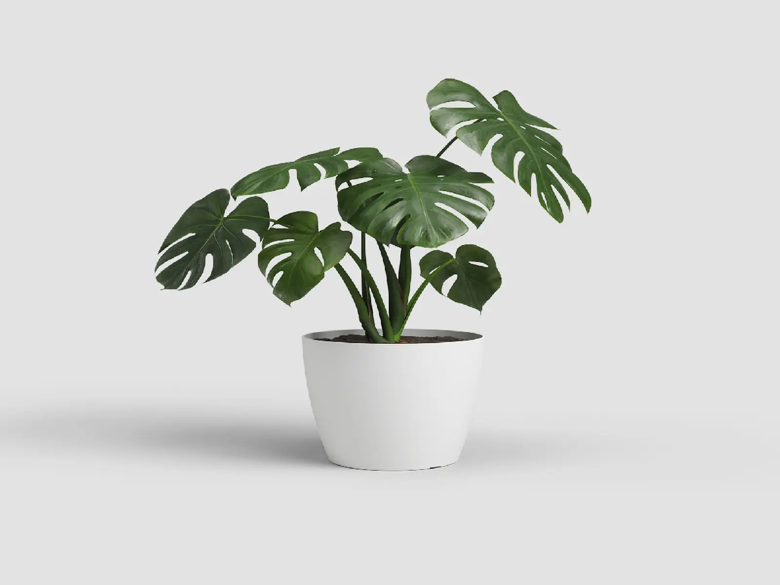 Květináč SAN REMO, 16cm, plast, bílá|WHITE|Artevasi