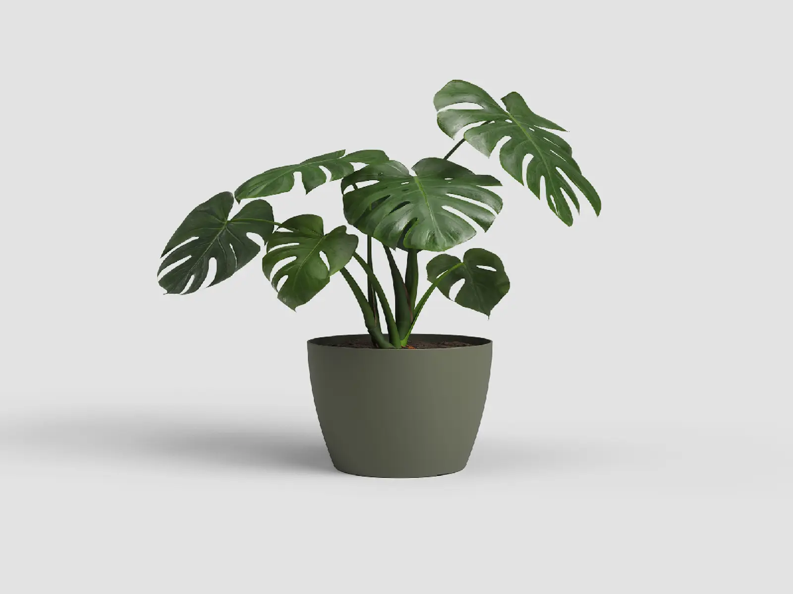 Květináč SAN REMO, 16cm, plast, zelená|DRY GREEN|Artevasi