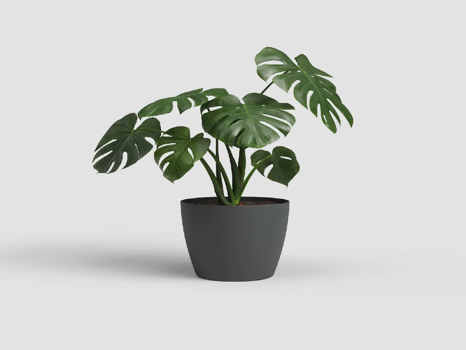 Květináč SAN REMO, 36cm, plast, tm.šedá|ANTHRACITE|Artevasi