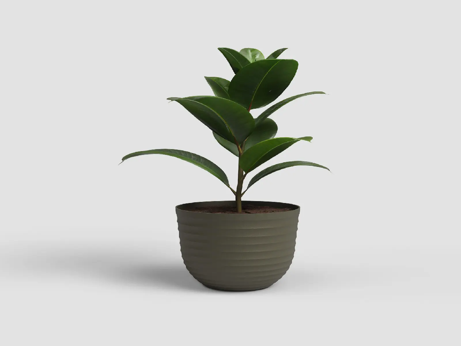 Květináč HAVANA, 30cm, plast, zelená|MOSS GREEN|Artevasi