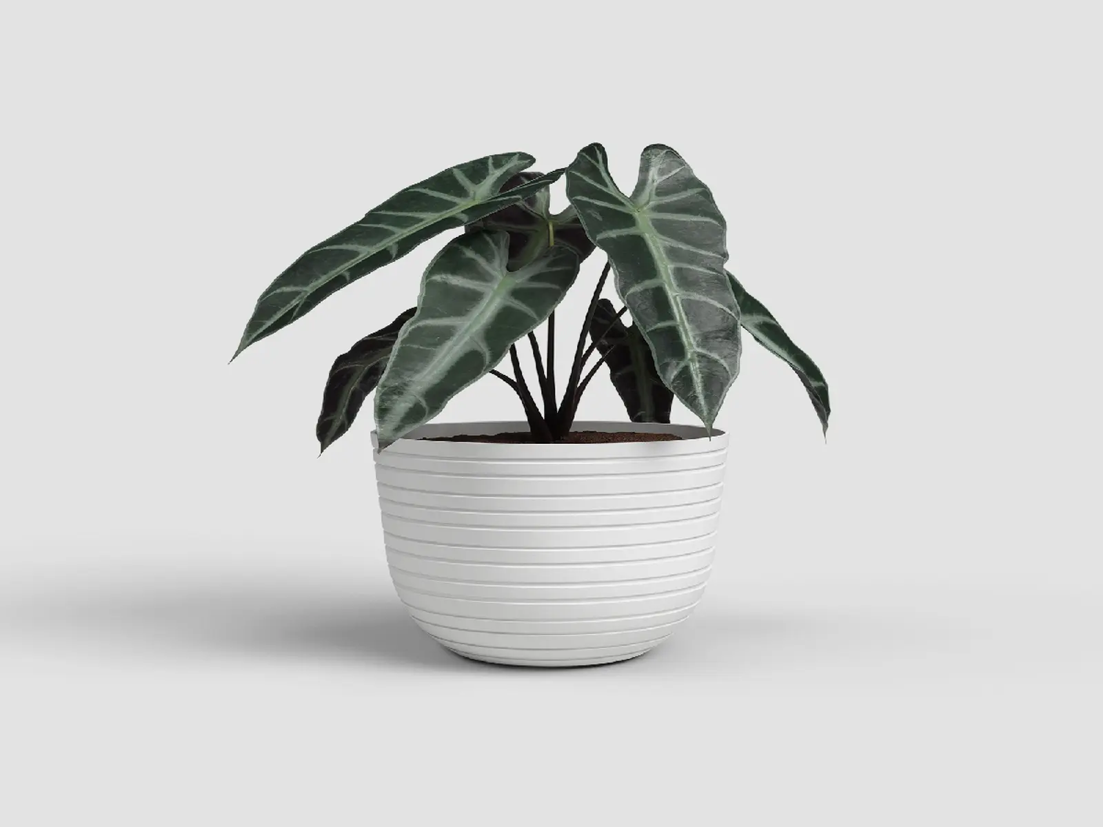 Květináč HAVANA, pruhy, 20cm, plast, bílá|GRANITE WHITE|Artevasi