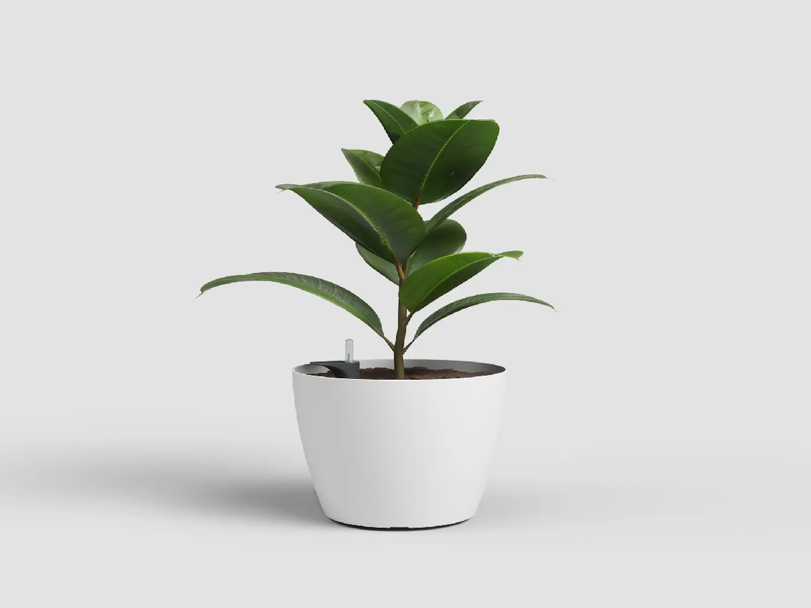 Květináč SAN REMO, samozavlažovací, 36cm, plast, bílá|WHITE|Artevasi