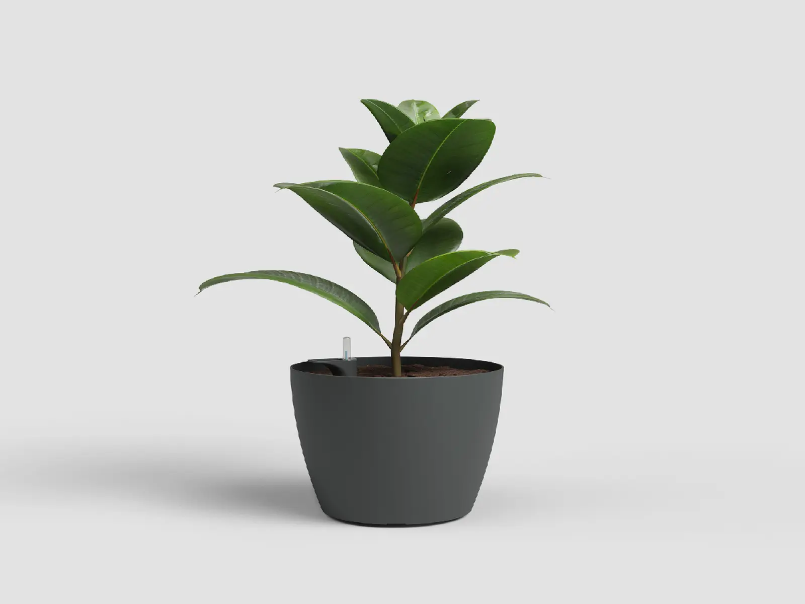 Květináč SAN REMO, samozavlažovací, 42cm, plast, tm.šedá|ANTHRACITE|Artevasi