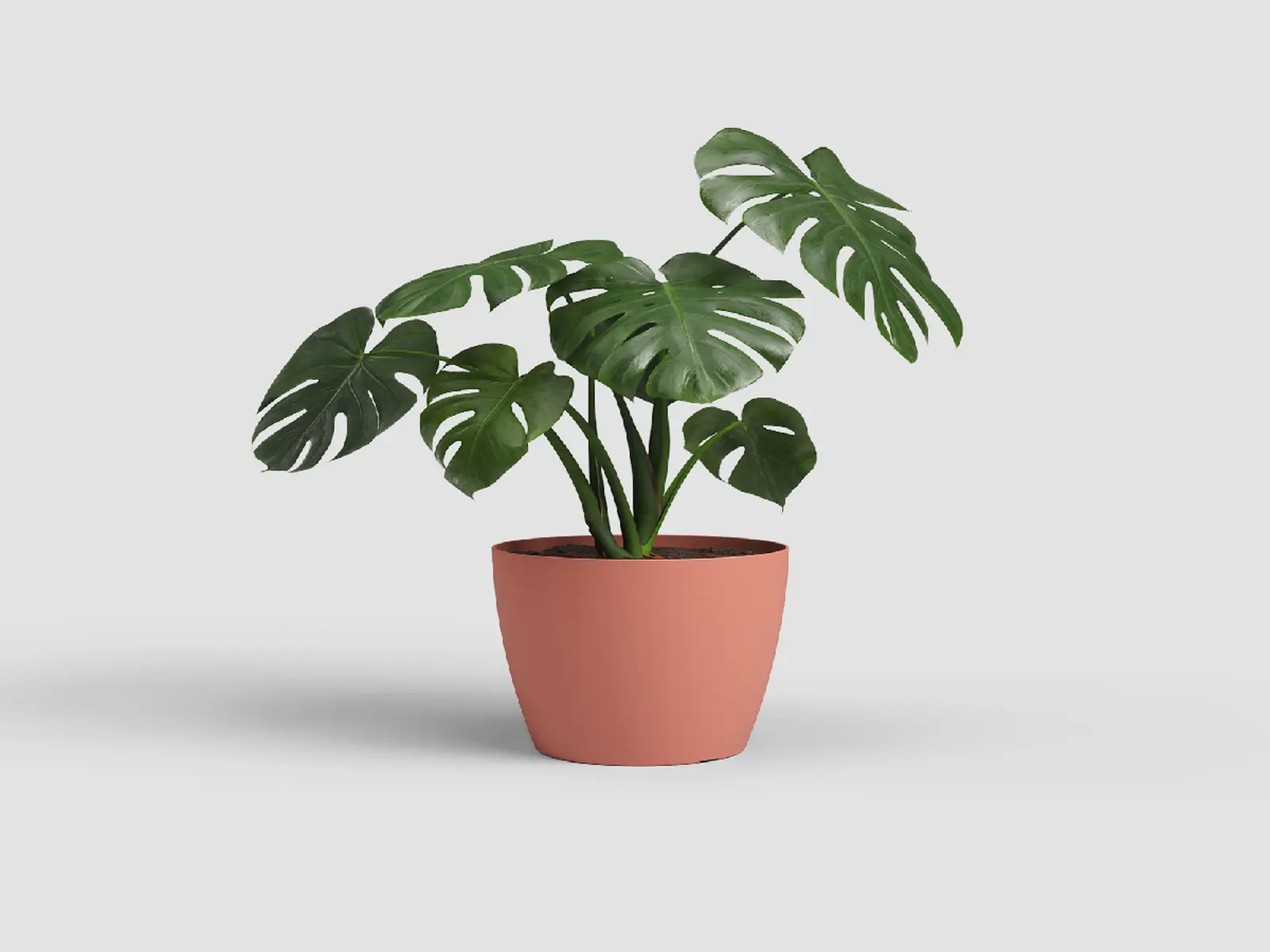 Květináč SAN REMO, 12cm, plast, růžová|DRY PINK|Artevasi
