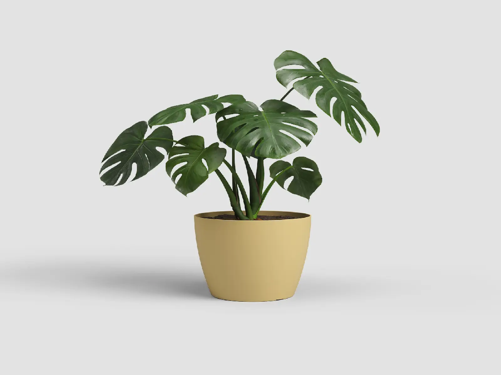 Květináč SAN REMO, 16cm, plast, sv.žlutá (DOPRODEJ)|LIGHT YELLOW (DOPRODEJ)|Artevasi