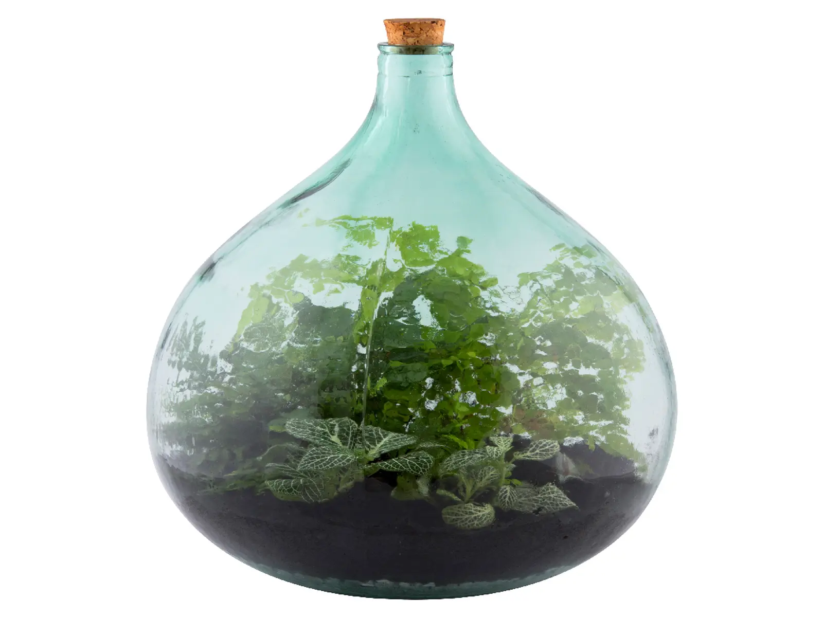 Aerárium 34 L s nářadím na pěstování ESSCHERT´S GARDEN|Esschert Design