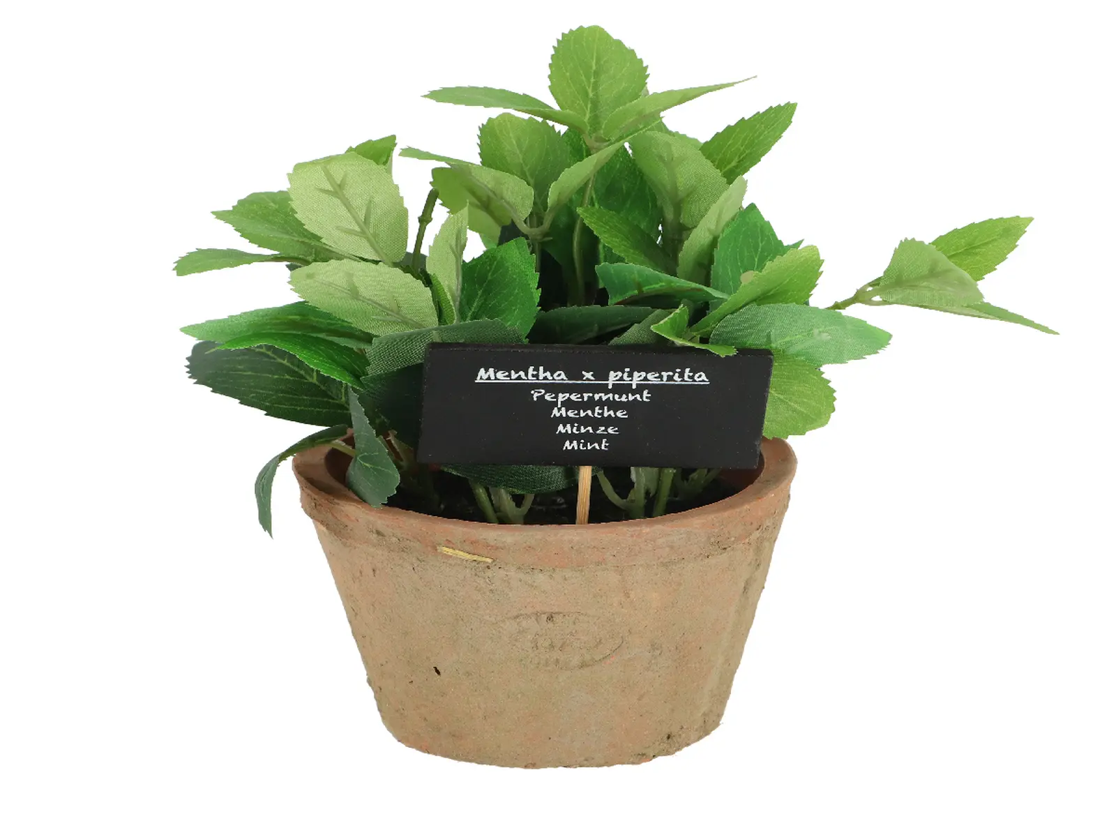 Máta v květináči ESSCHERT´S GARDEN , 18,5 cm|Esschert Design