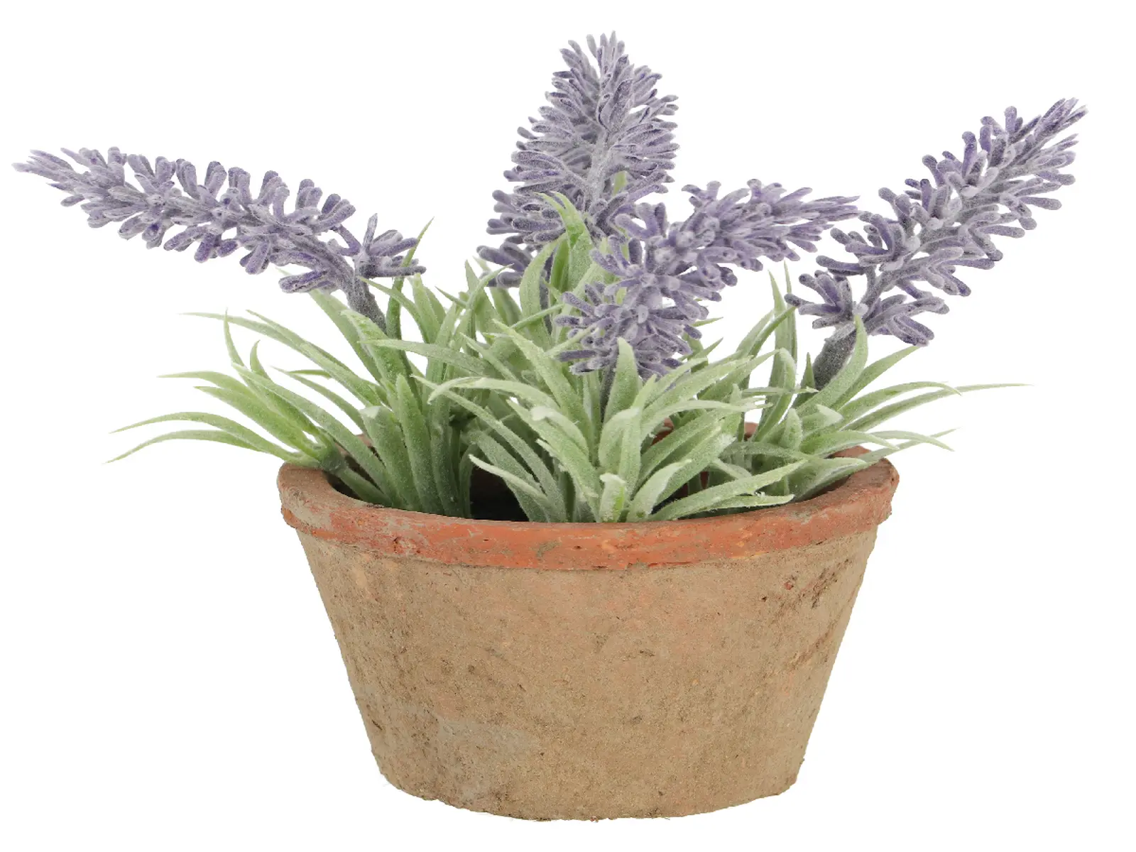 Levandule v květináči ESSCHERT´S GARDEN , 15,5 cm|Esschert Design