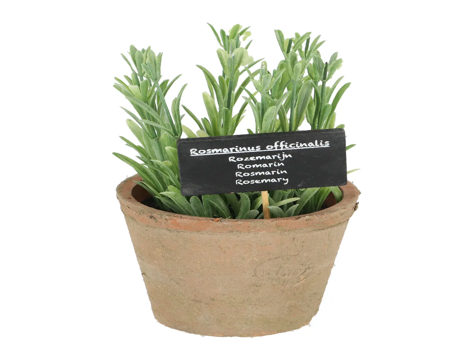 Rozmarýn v květináči ESSCHERT´S GARDEN , 20,5 cm|Esschert Design