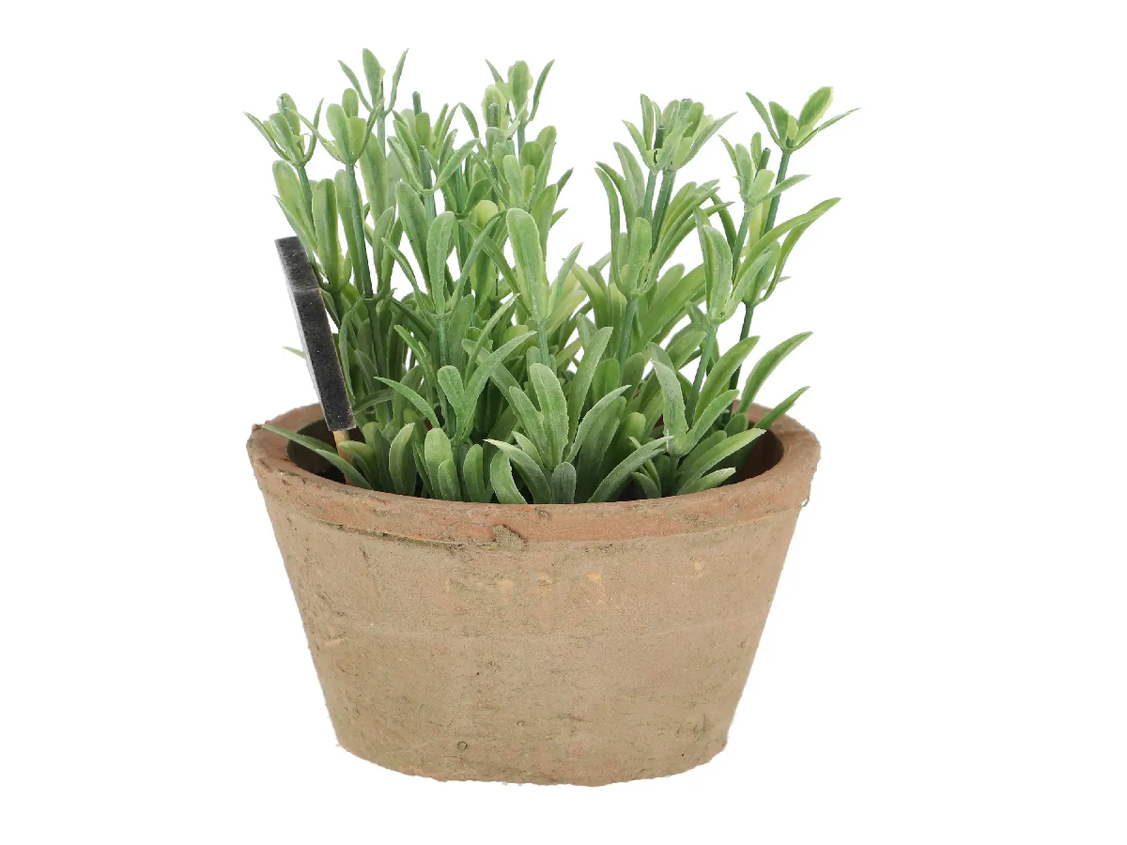Rozmarýn v květináči ESSCHERT´S GARDEN , 20,5 cm|Esschert Design