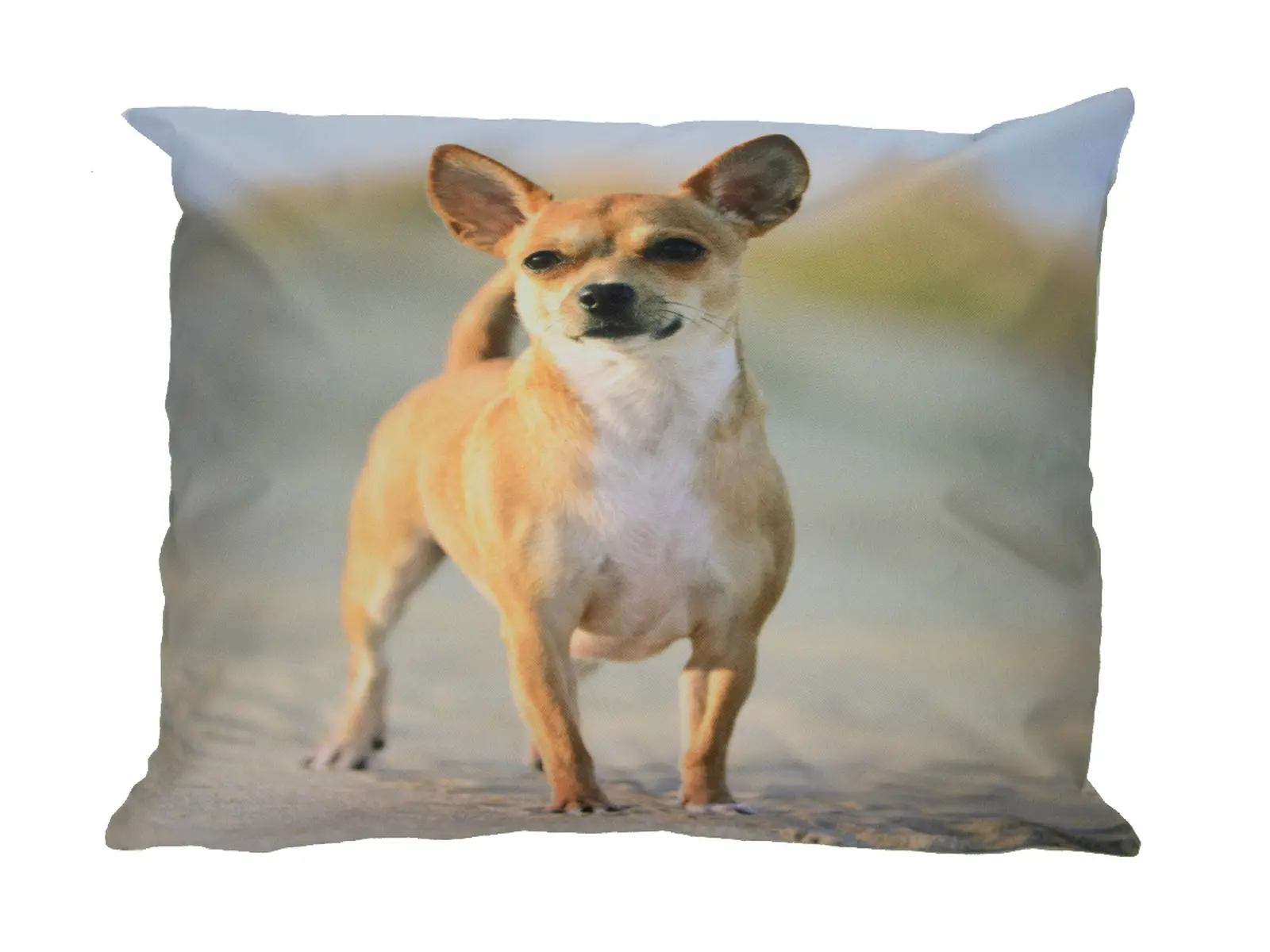 Polštář OUTDOOR Pes SCOOBY, 40cm, buldoček/retvívr/ovčák/čivava  (DOPRODEJ) (balení obsahuje 4 kusy!)|Esschert Design