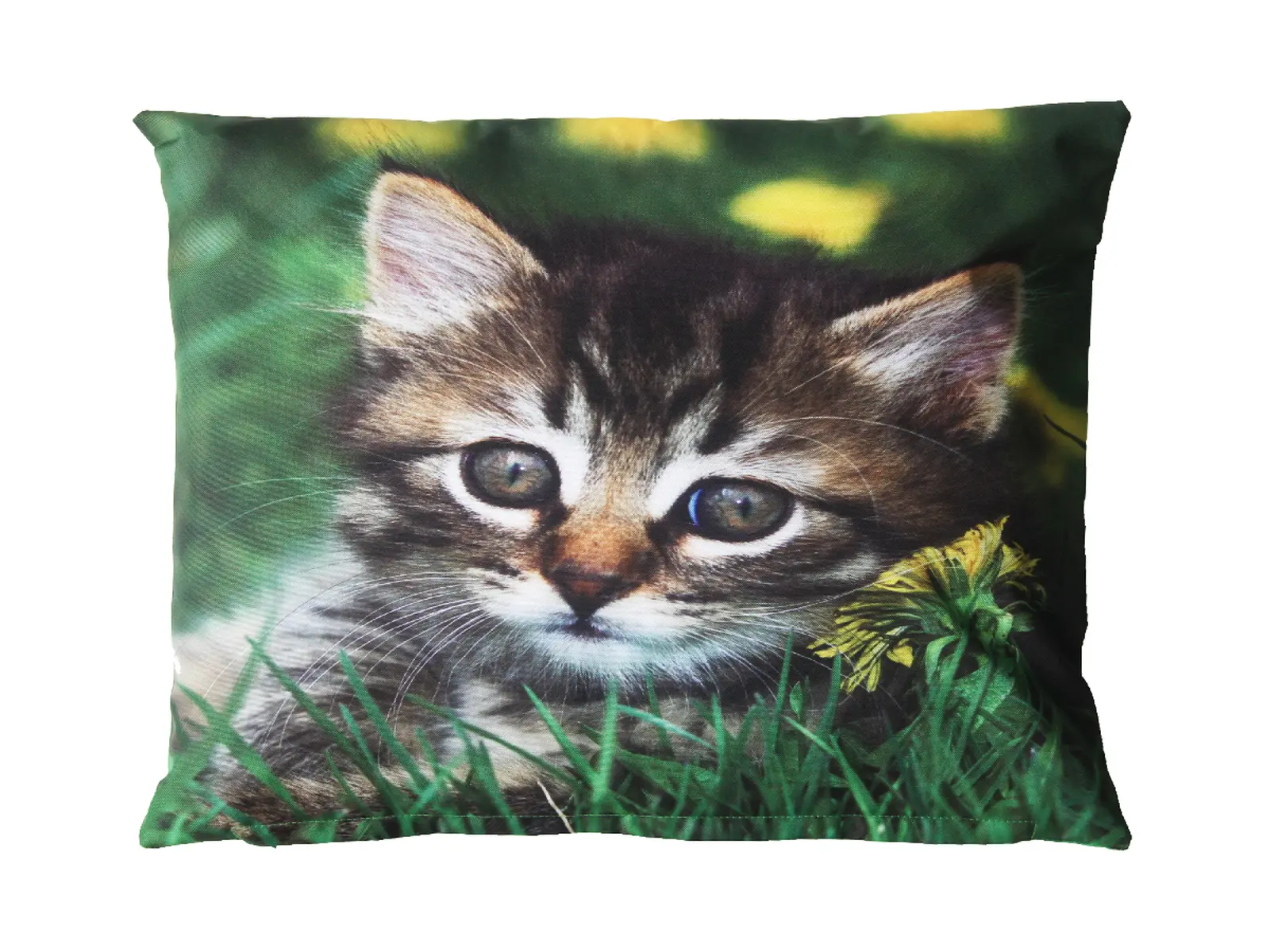 Polštář OUTDOOR Kočka, 40cm, kotě(č.1 - č.4), barevný potisk (DOPRODEJ) (balení obsahuje 4 kusy!)|Esschert Design