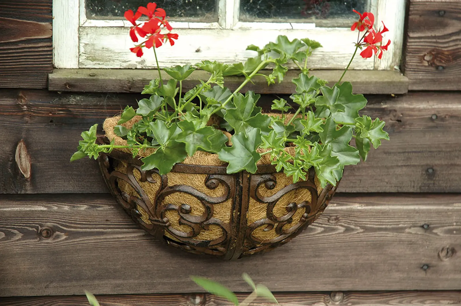 Nástěnný květinový koš ESSCHERT´S GARDEN půlkulatý litinový|Esschert Design