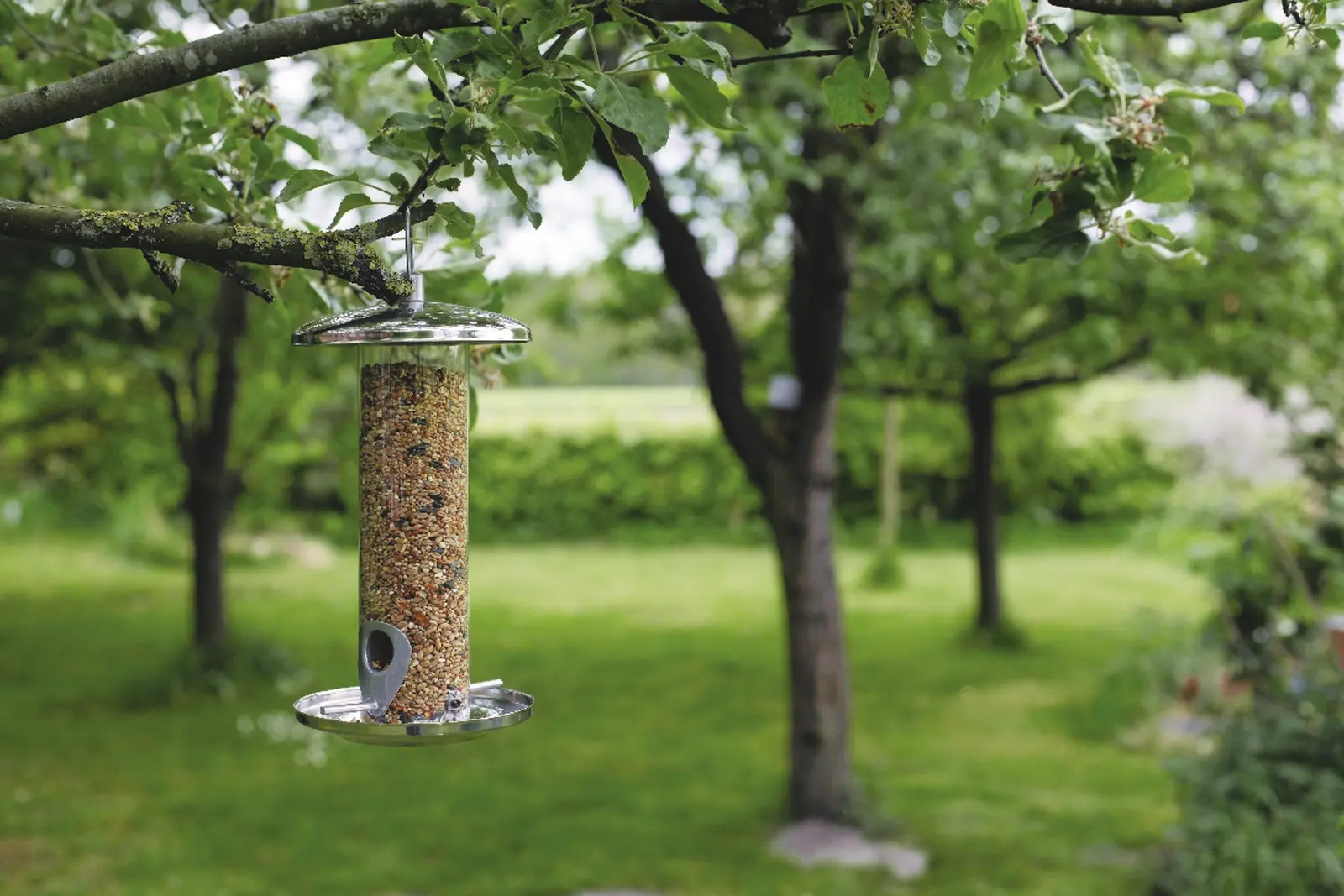 Dávkovač zrní BEST FOR BIRDS , nerezová ocel, 14 x 14 x 27 cm|Esschert Design