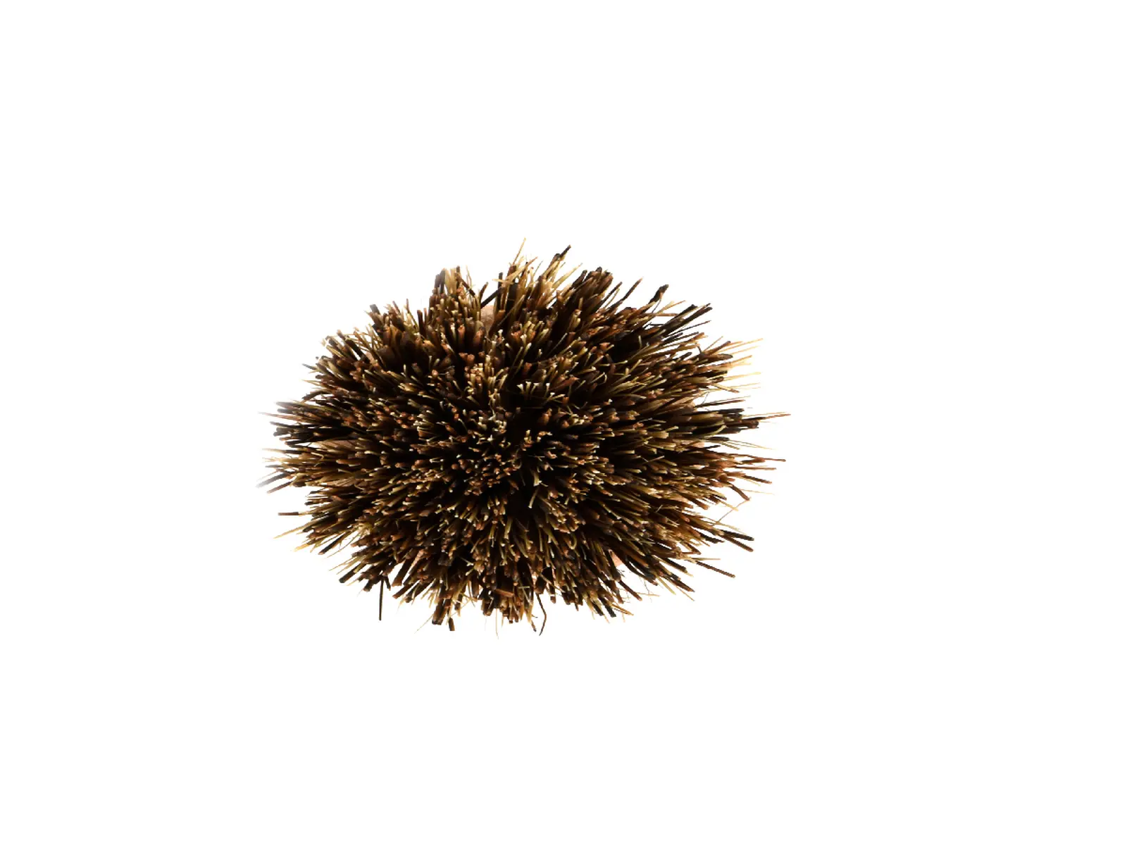 Kartáček pro čištění hrnců HOME DUST, 6x6x8cm, přírodní|Esschert Design