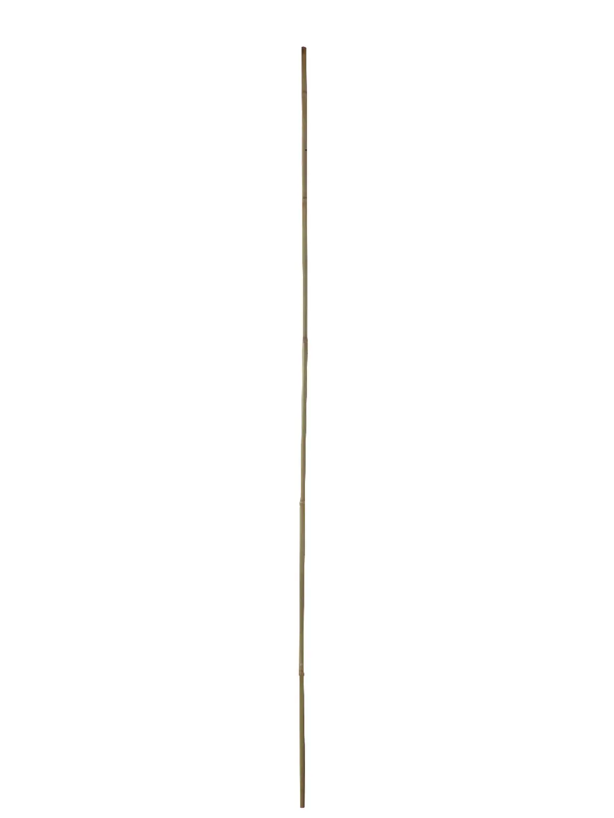 Podpora k rostlinám BAMBOO, pr.1,4x150cm, (balení obsahuje 4 kusy!)|Esschert Design